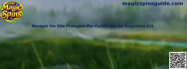 Navegar em site protegido por SSL